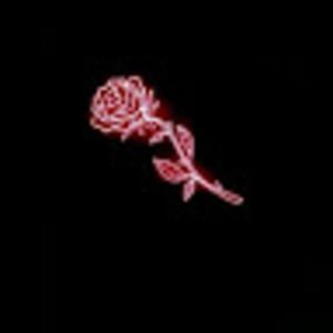 Meet your Posher, Norma